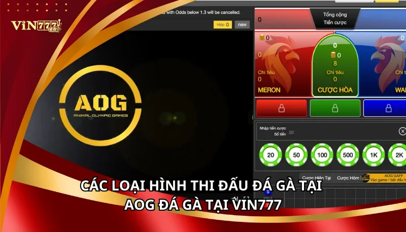 Các loại hình thi đấu đá gà tại AOG Đá Gà tại Vin777