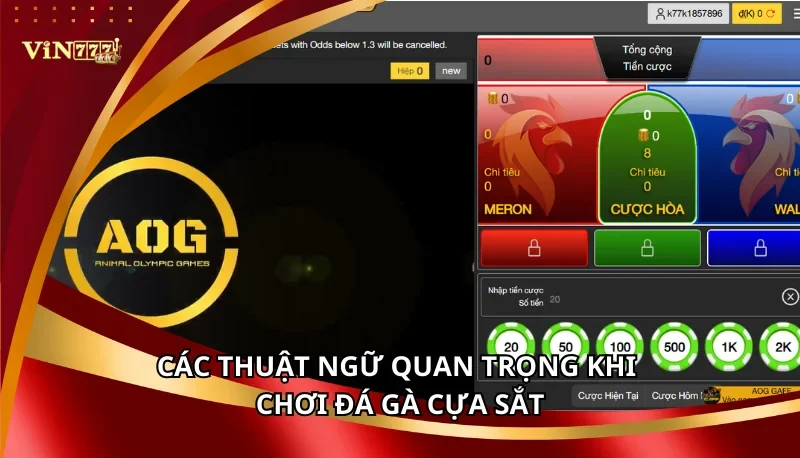 Đá Gà Cựa Sắt Vin777: Cẩm Nang Thuật Ngữ Và Luật Chơi A-Z 6 Các thuật ngữ quan trọng khi chơi đá gà cựa sắt