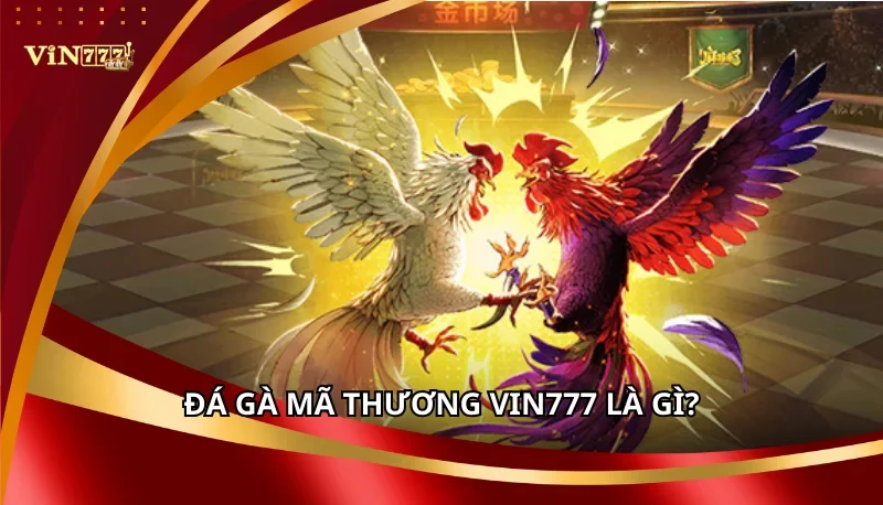 Đá Gà Mã Thương Vin777: Kinh Nghiệm Nhận Biết Chiến Kê Hiệu Quả 5 Đá gà mã thương Vin777 là gì?