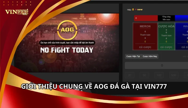 Giới thiệu chung về AOG Đá Gà tại Vin777