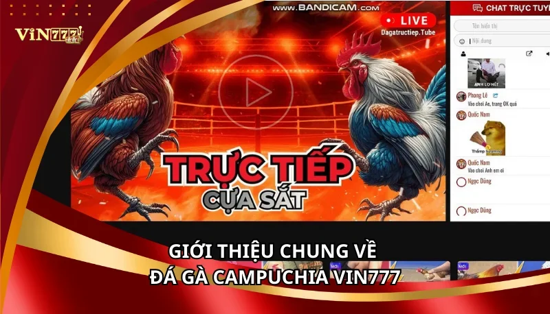 Đá Gà Campuchia Vin777: Các Loại Hình Và Thể Loại Cược Chi Tiết 5 Giới thiệu chung về Đá Gà Campuchia Vin777