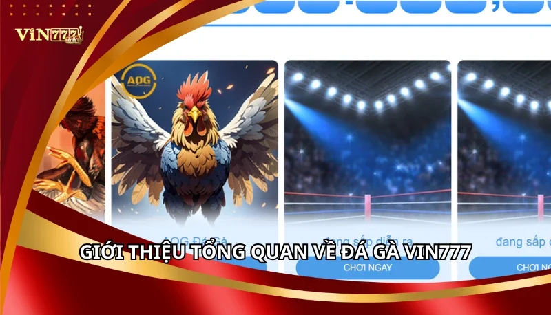Giới thiệu tổng quan về Đá Gà Vin777