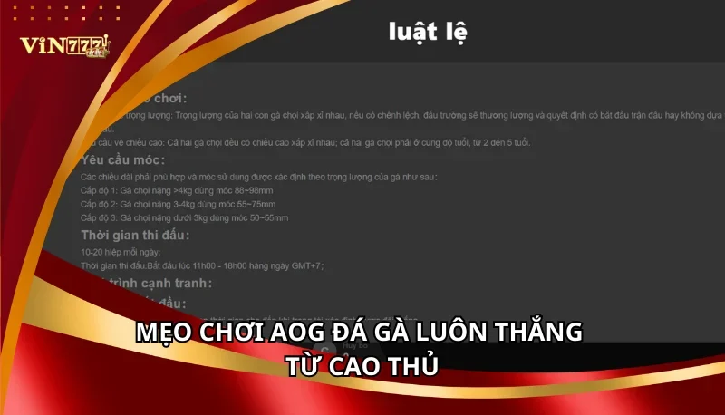 Mẹo chơi AOG Đá Gà luôn thắng từ cao thủ