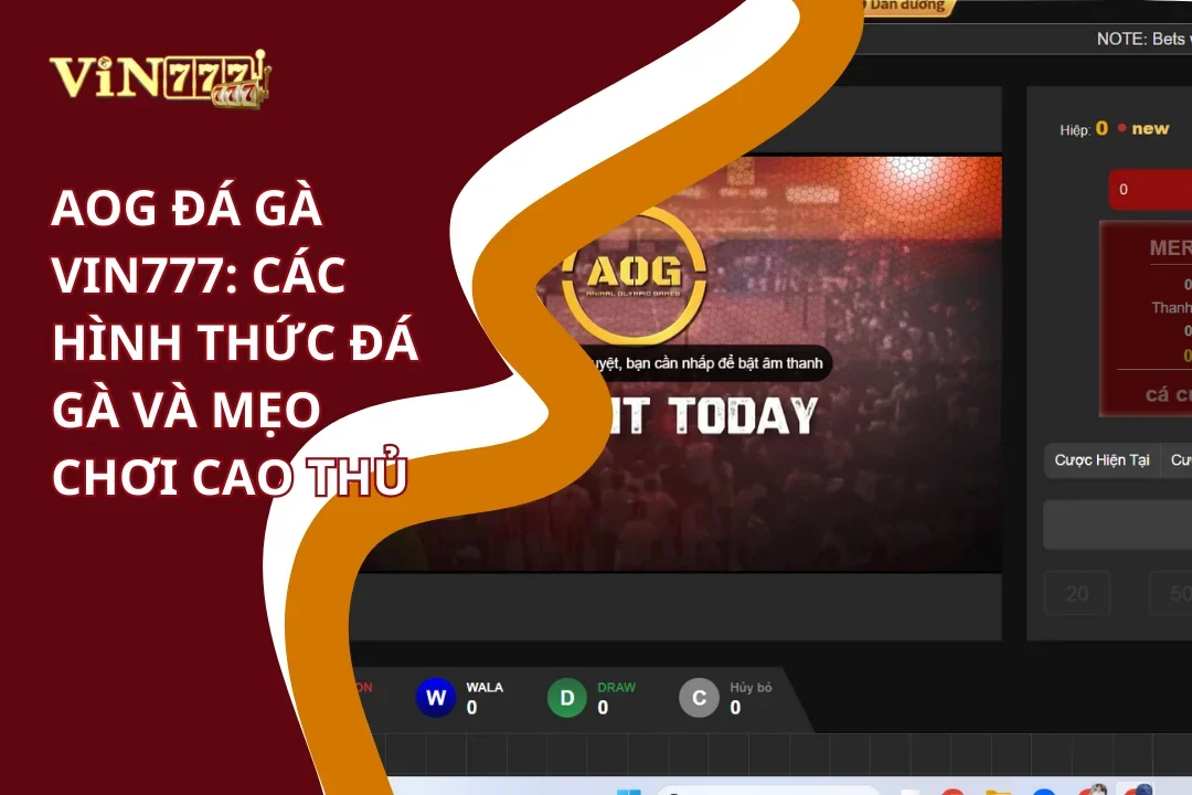 AOG Đá Gà Vin777: Các Hình Thức Đá Gà Và Mẹo Chơi Cao Thủ 2 Các hình thức đá gà và mẹo chơi AOG đá gà