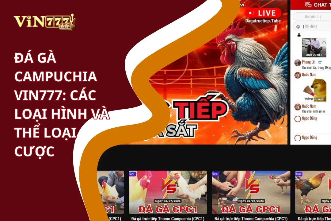 Đá Gà Campuchia Vin777: Các Loại Hình Và Thể Loại Cược Chi Tiết 4 Các loại hình đá gà campuchia