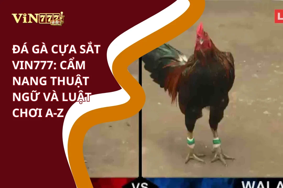 Đá Gà Cựa Sắt Vin777: Cẩm Nang Thuật Ngữ Và Luật Chơi A-Z 3 Cẩm nang thuật ngữ đá gà cựa sắt